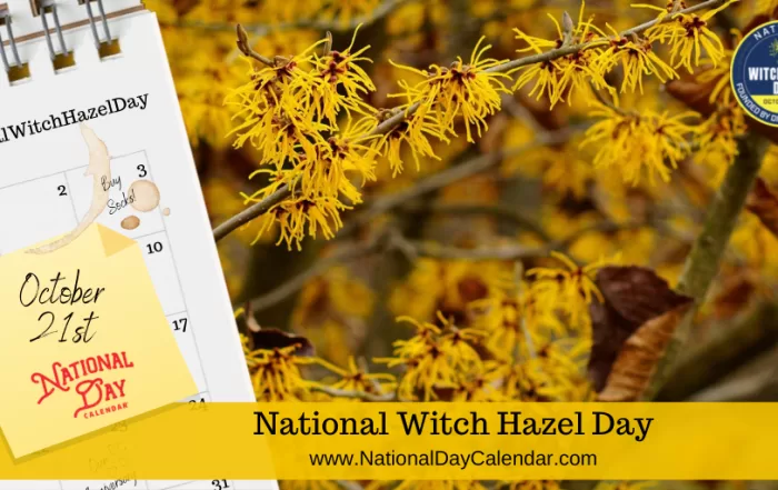 National witch hazel day october 21st. Png